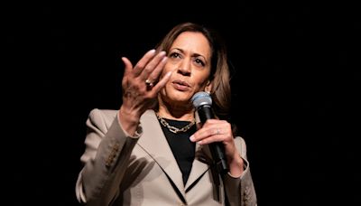 Pro-Palestinian activists plan to march on the DNC, hoping Harris will hear them