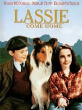 Torna a casa, Lassie!