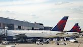 Delta offered $1,800 to a woman who accused the airline of losing her dog — her attorney is calling the offer an 'insult'