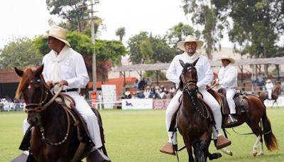 Ica: más de 100 ejemplares competirán en el Concurso Regional del Caballo Peruano de Paso