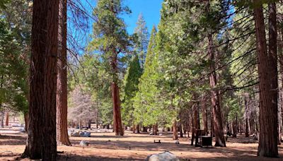 Cedar Grove Campground Reopens on Wednesday, July 3 in Kings Canyon National Park - Reservations Available Today, July 2