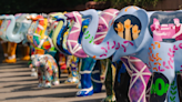 Charity elephant vandalised as arts trail begins
