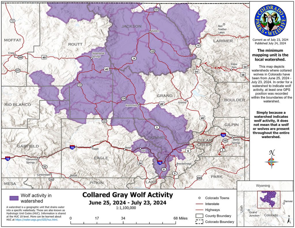 Colorado’s July wolf activity map includes update on hazing rumors, wolf pups