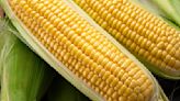 Your Microwave Makes Husking Fresh Corn Cobs A Breeze