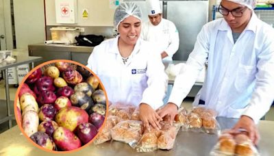 Día Internacional de la papa: Científicos peruanos desarrollan pan de este tubérculo para luchar contra la anemia