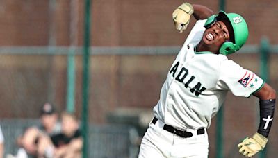 'It was incredible.' Badin baseball heads to Ohio DII state Final Four after beating Alder