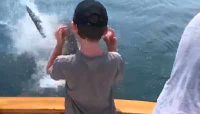Great white shark exploding on bass a lesson for Cape Cod anglers