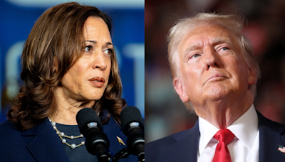 Kamala Harris Responds To Donald Trump Questioning Her Blackness At NABJ Convention