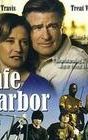Safe Harbor (film)