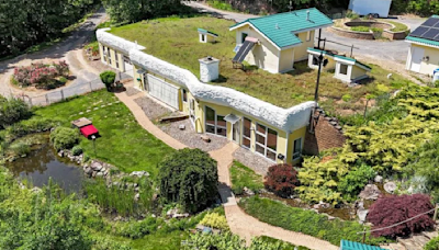 A solar-powered mountain home with succulents on the roof is for sale in central Pa.