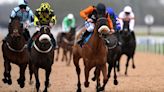 Today on Sky Sports Racing: Shepherd heads to Southwell with six chances