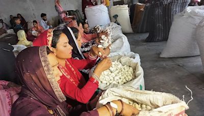 Month-long cocoon market opens in Udhampur