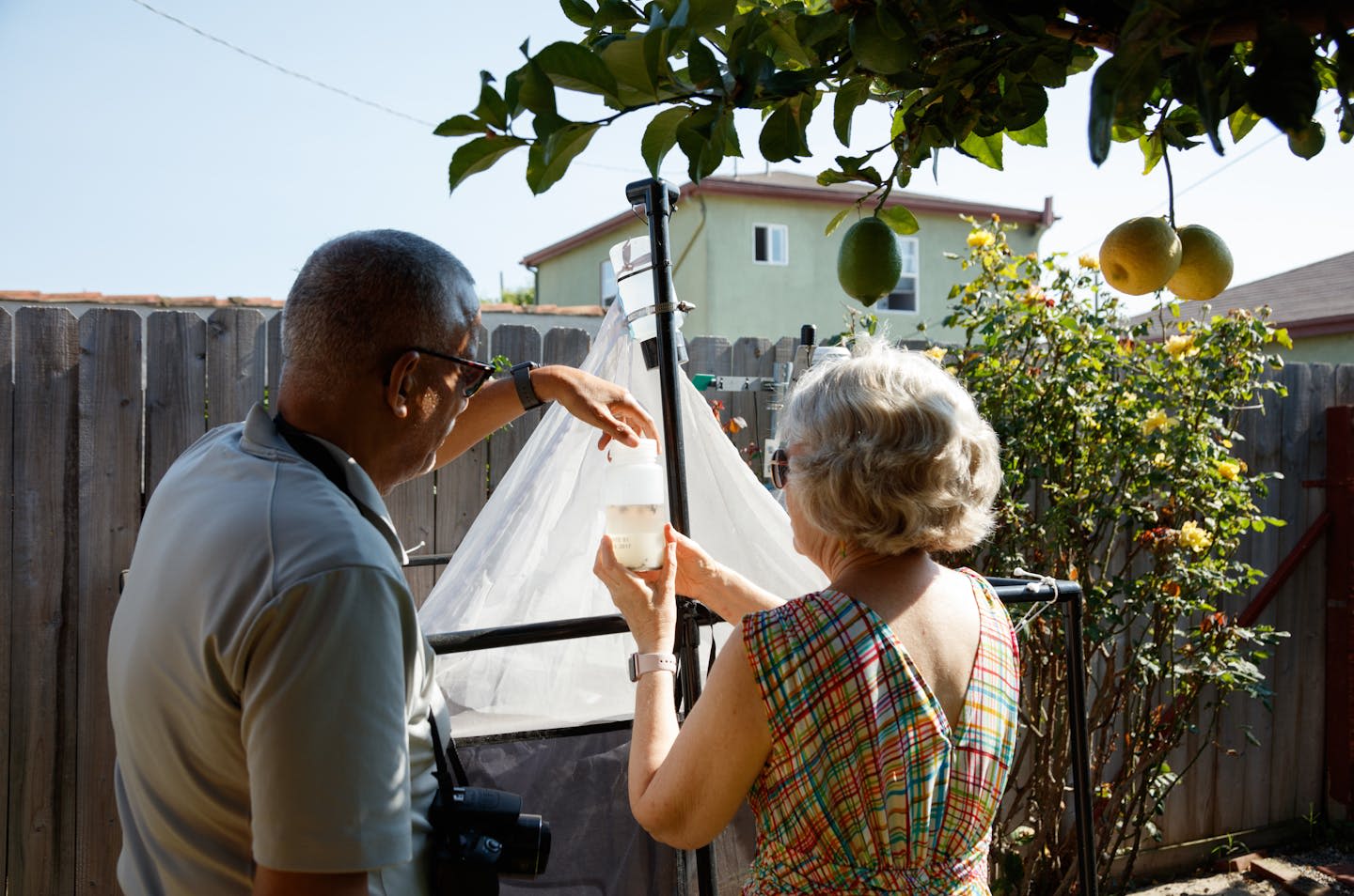 Bugs thrive in urban Los Angeles – volunteers’ traps reveal biodiversity hot spots for city insects and spiders