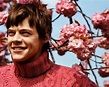 Another Man HQ - Harry Styles Photo (39928135) - Fanpop