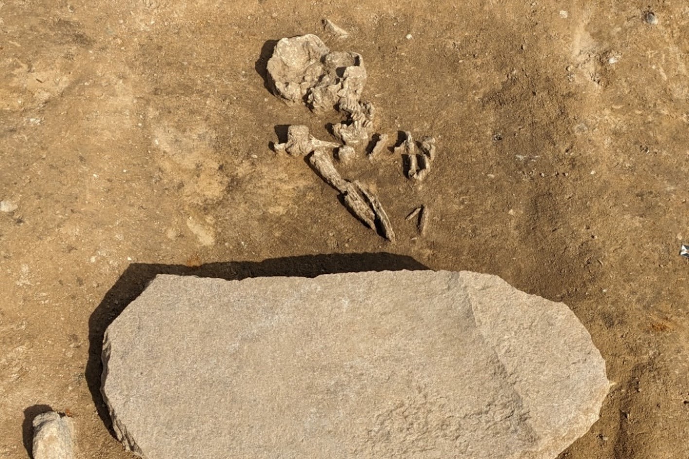 Archaeologists find grave of "zombie" that ancients wanted buried forever