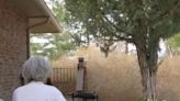 Tumbleweeds take over Colorado couple's property: 'Like a horror movie'