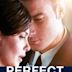 A Perfect Man (2013 film)