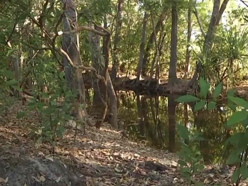 Human Remains Found amid Search for 12-Year-Old Girl Missing After Suspected Crocodile Attack