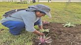 La Libertad: Municipalidad Laredo regalará agua a Alto Trujillo