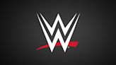 WWE Returning To Japan For First Time In 5 Years - PWMania - Wrestling News