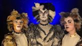 CATS Musical Opens June 14 At The Belmont Theatre