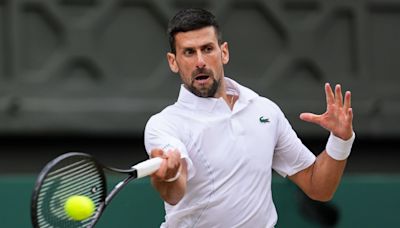 ¿Cuándo vuelve a jugar Novak Djokovic?