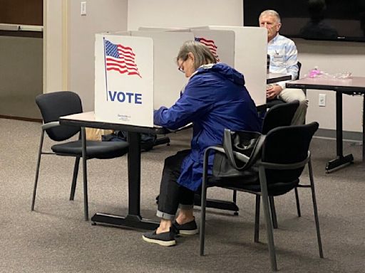 Virginia voter guide: What local races are on the ballot for the 2024 primary election - WTOP News