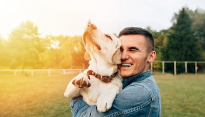 Golden Retriever Dad Lists Funny Things All Dog Parents Do and They’re Spot-on