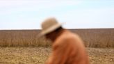 Argentina soy farmers wait on rising prices to sell rain-drenched crop