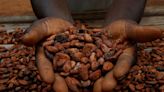 Cocoa rally and market tumult hoist systematic hedge funds