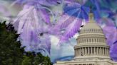 Congressional Committee's Cannabis Legalization Hearing: Advocates Have Their Say And Answer Questions