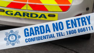 Two men and woman in 'serious' condition after house fire in Co Wexford