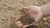 努力小農》傾聽土壤的聲音：碳不是壞人 它是地球生命的源頭
