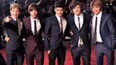 Everything One Direction Has Recently Said About A Reunion