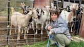 The Valley Reporter - Here is how goats will tackle knotweed