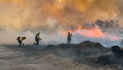 Needles Fire in California moved into Arizona, burned more than 200 acres