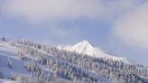 A 22-year-old skier died after colliding into a tree at Aspen Highlands resort