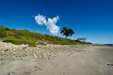 Refugio State Beach