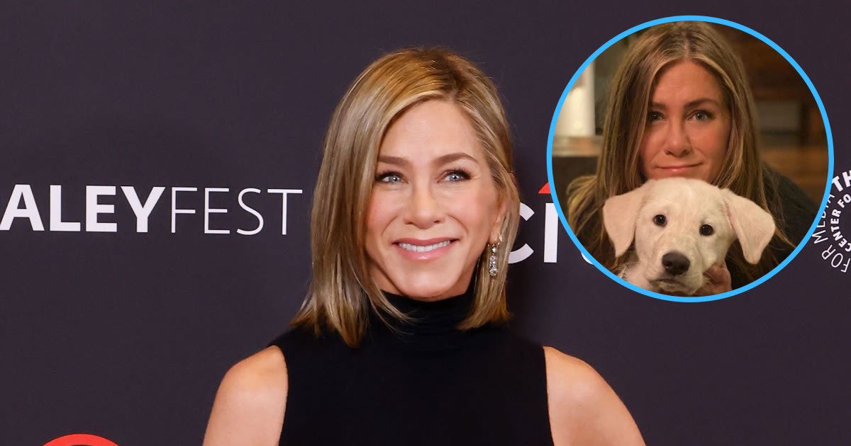 Jennifer Aniston 'Plans Her Life' Around Her Dogs and Fostering