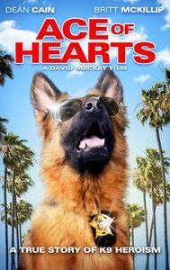 Ace of Hearts (2008 film)