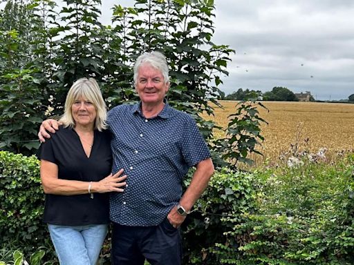 'Pylons plan a disaster for the countryside'