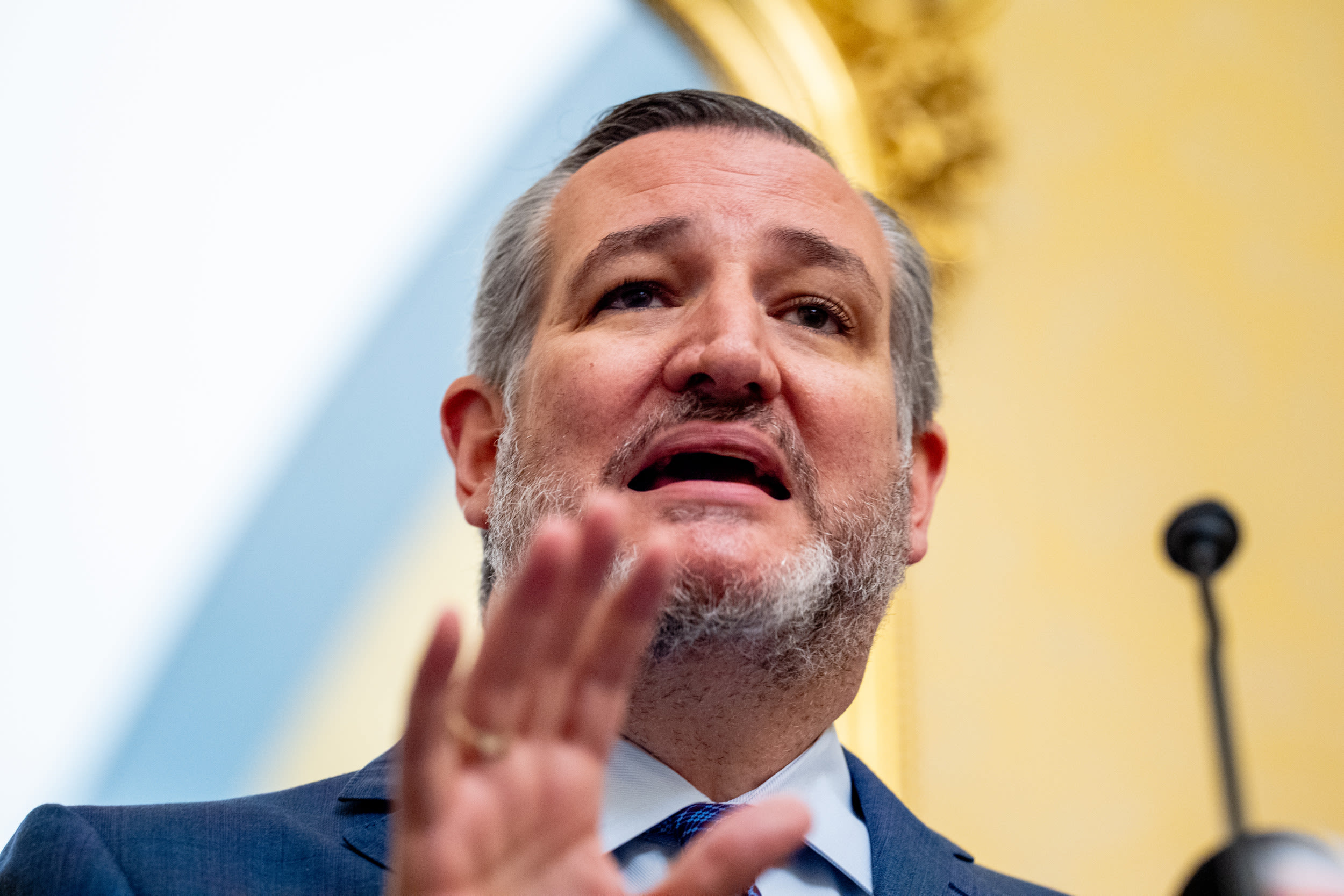 Ted Cruz slams blue states for not prosecuting pro-Palestinian protesters