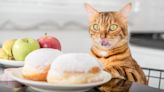 Can cats taste sugar?