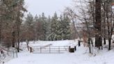 Olvida el viaje hasta Big Bear; disfruta de un paraíso nevado en San Diego