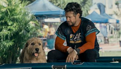 Mark Wahlberg Dog Movie ‘Arthur The King’ Gets Streaming Premiere Date