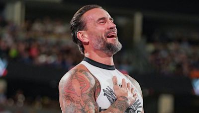 WWE's CM Punk Asks Fans To Respect 'Boundaries And Privacy' - Wrestling Inc.