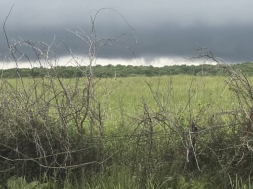 PICTURES: Viewers share snapshots of Wednesday’s storms