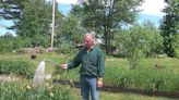 3 essential watering tools for beginning gardeners