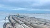 Galveston woman sees mysterious bamboo raft on her morning walk | 98.7 The River | Mark Robertson