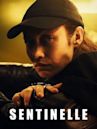 Sentinelle